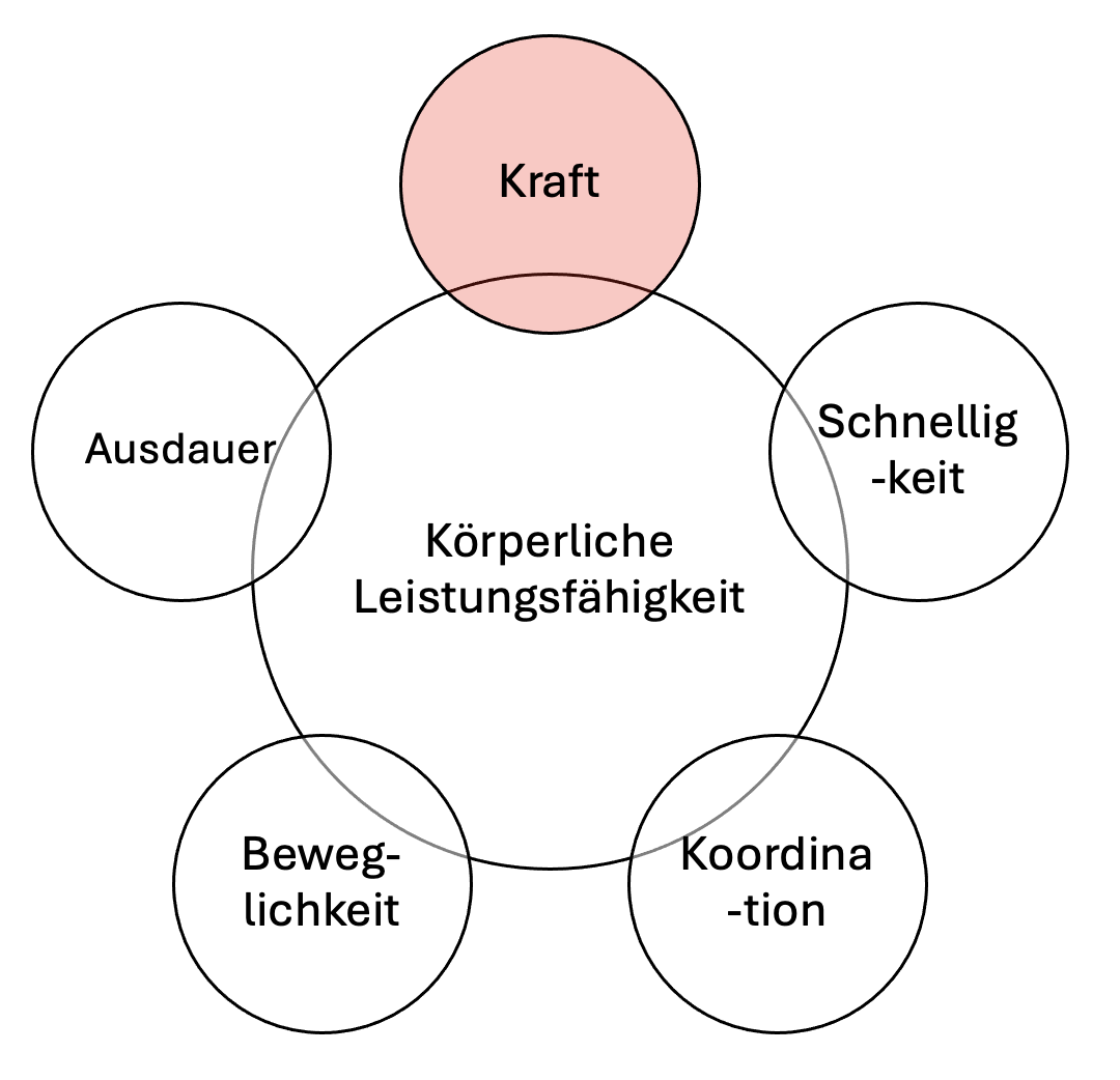 Kraft - k&ouml;rperliche Leistungsf&auml;higkeit