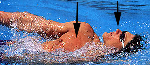 Lenny swims backstroke (1)