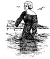 Fig 5